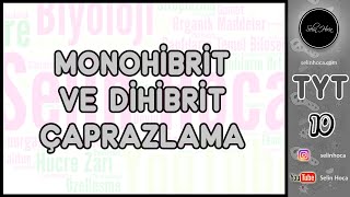 10 Monohibrit ve Dihibrit Çaprazlama [upl. by Calica]