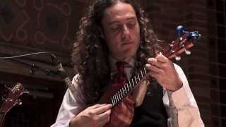 Ukulele Beatles Medley  Stu Fuchs amp Friends [upl. by Aicirtak]