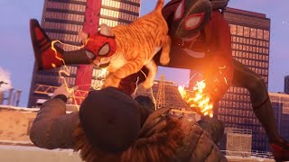 All Hunter Bases With The Bodega Cat Suit No Damage Ultimate Difficulty Marvels SpiderMan 2 [upl. by Sawyor730]