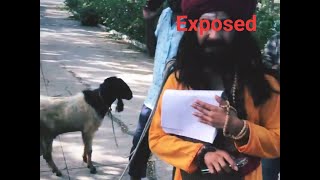 When Yukti Kapoor got no chill  Jamming with Goats  Yuktis Beautiful World [upl. by Lull942]