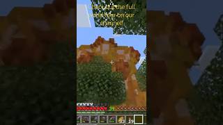 Honeycomb minecraft minecraftshowcase minecraftbees minecraftsurvival minecraftbuilding [upl. by Nwahsir555]