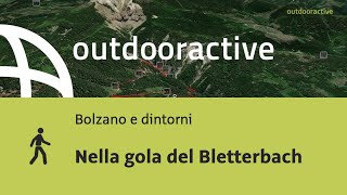 Nella gola del Bletterbach [upl. by Boggers]