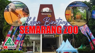 SEMARANG ZOO  Kebun Binatang di Semarang [upl. by Lowis]