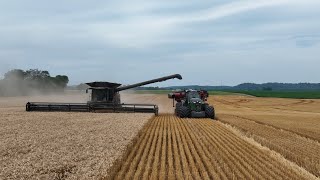 Fendt Ideal combine VS Wheat [upl. by Ahsitul]