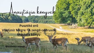 13 Fejezet  Anasztázia  2 Könyv  Pusztító erő  HANGOSKÖNYV AUDIOBOOK [upl. by Claude]