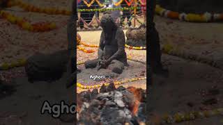 Power Of Aghori aghori samsan mahadev aghoribabaji shorts [upl. by Erbma]