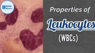 Properties of Leukocytes WBCs  Blood Physiology [upl. by Gudrin]