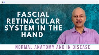 The fascial retinacular system in the hand  Normal anatomy and what happens in disease [upl. by Rosaleen]