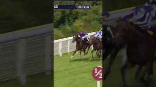 Jan Brueghel  St Leger winner horse horseracing racingtv sport britishhorseracing [upl. by Alisa]