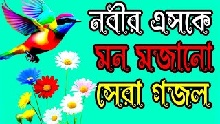 নবীর এশকে মন মজানো সেরা গজল Navir SK man majano Sera gojol [upl. by Berger]