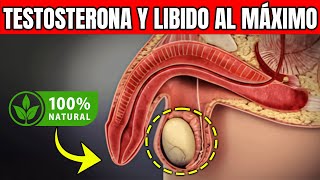 15 Alimentos para Impulsar la Testosterona y Turbinar la Libido [upl. by Ettennej]