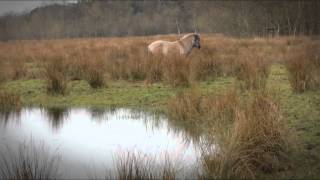 Fotomontage gemeente Beerse [upl. by Feld857]