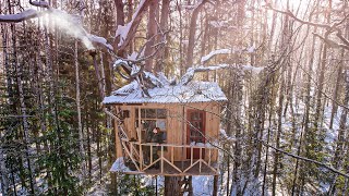 My TREE HOUSE LIFE  Building and hiding in the WOODS  Secrets of Living in the WOODS [upl. by Haizek]