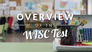 WISC Test Overview  TestingMomcom [upl. by Merta]