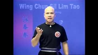 Wing Chun kung fu siu lim tao  form applications Lessons 410 [upl. by Goldie]