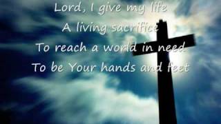 Life Song  Casting Crowns [upl. by Margo]