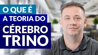 Teoria do Cérebro Trino O que é Como saber qual parte do cérebro que usamos na hora de decidir [upl. by Eicirtap]