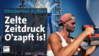 Härtetest OktoberfestAufbau in 10 Wochen zur fertigen Wiesn  Abendschau Reportage  BR24 [upl. by Ailugram]