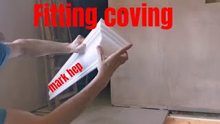 Fitting coving [upl. by Gleason]