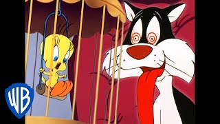 Looney Tuesdays  Tweety and Sylvesters Adventures  Looney Tunes  WB Kids [upl. by Aneez]