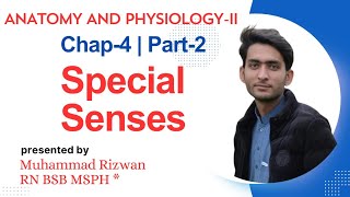 Special Senses Eyes  Part3 Chap5  Anatomy and Physiology2 BSN Study KMUMCQS Pattern [upl. by Og465]