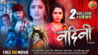 Nandini  नंदिनी   FullMovie  Gaurav Jha SanchitaBanerjee RichaDixit  New Bhojpuri Film [upl. by Marelya496]