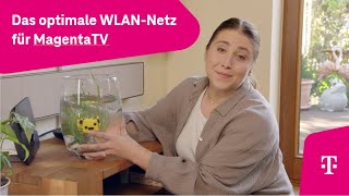 Telekom Das optimale WLANNetz für MagentaTV 23 [upl. by Michale]