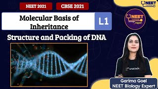 Phoenix 20 Biology Most Important Video for NEET 2025  Unacademy NEET Toppers  Udaan [upl. by Rosemare]