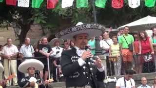 Mariachis en Barcelona La Malagueña José González Grito Independencia Mexicana 2014 [upl. by Ogata467]