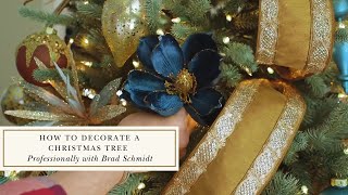 How to Decorate a Christmas Tree Professionally with Brad Schmidt [upl. by Berta]