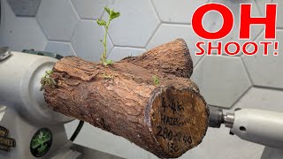 How to Handle Unseasoned Hazel Wood Woodturning Project [upl. by Derej689]