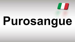 How to Pronounce Purosangue [upl. by Eekram769]