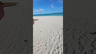 Mornings in MALDIVES travel island [upl. by Karilla]