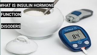 What is insulin hormone [upl. by Yllatan]