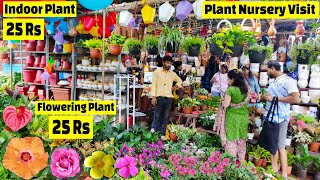 Plant Nursery visit  पौधे की कीमत 25 Rs  Plant Price with Names  Amit Nursery 🌻🌺 [upl. by Pantin]