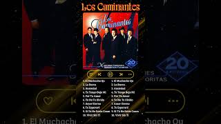 Ángel de la Mañana  Los Caminantes Mix 45 Exitos Romanticas Viejitas shorts loscaminates [upl. by Nostets]