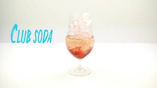 How to make a Sloe Gin Spritz Cocktail [upl. by Omlesna954]