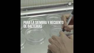 LACAL  Análisis de Enterobacterias en productos lácteos UNSa [upl. by Ardnos]