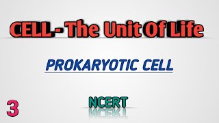 Prokaryotic cell  CELLTHE UNIT OF LIFE  NEET  Class11 [upl. by Markus]