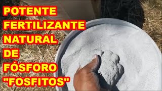 POTENTE FERTILIZANTE ✅FOSFITOS✅ Huerta y Cultivos PROCESO COMPLETO mejora tus cultivos [upl. by Ggerc]