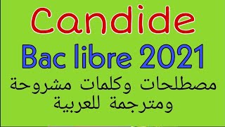 للإستئناس، كلمات مشروحة ومترجمة للعربية من كانديد Candide [upl. by Are]