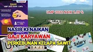 UMP TAHUN 2022 NAIK 109   BAGAIMANA NASIB KENAIKAN GAJI KARYAWAN PERKEBUNAN KELAPA SAWIT [upl. by Ailero289]