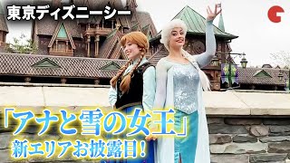 東京ディズニーシー新エリア「アナと雪の女王」とレストランをお披露目！ [upl. by Anaillil]