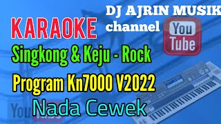 SINGKONG DAN KEJU  ROCK  ARI WIBOWO  KARAOKE KN7000  NADA CEWEK 5 [upl. by Hluchy647]