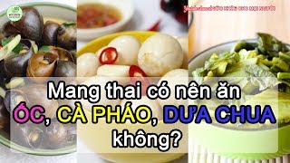 Cách Trồng Đậu Bắp Cho Năng Suất Cao  Phan Đức 109 [upl. by Nollaf335]