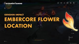 Embercore Flower Location  Genshin Impact 50 [upl. by Boffa]