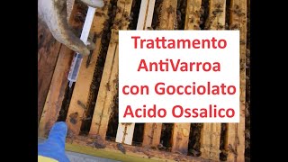 Gocciolato Acido Ossalico  Trattamento Anti Varroa [upl. by Sklar]