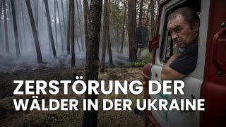 Krieg und seine Auswirkungen auf die Natur Wälder in der Ukraine  Republic News Deutsch AH1E [upl. by Adnama]