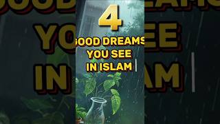 4 Good Dreams you see in Islam ytshorts shortfeedytshortsvideo [upl. by Rego10]