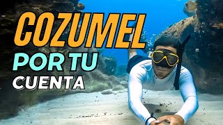 Un dia de Snorkel en Cozumel  Explorando Cozumel por tu cuenta Hotel Ventanas al mar [upl. by Leahcimaj]